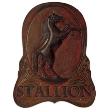 Stallion Boots