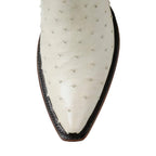 Back at the Ranch Ostrich Full Quill 14" - Sky Blue